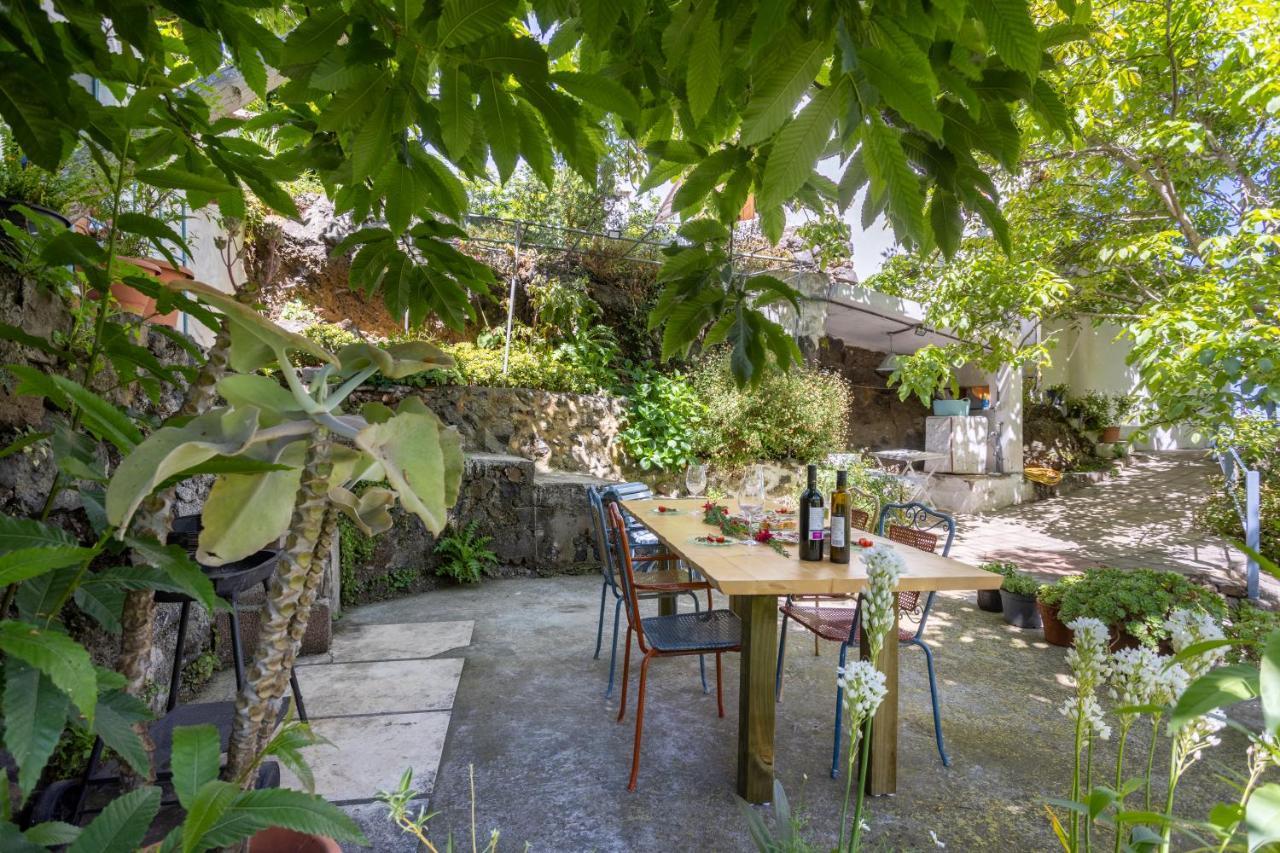 Casa El Nogal Villa La Florida  Екстериор снимка